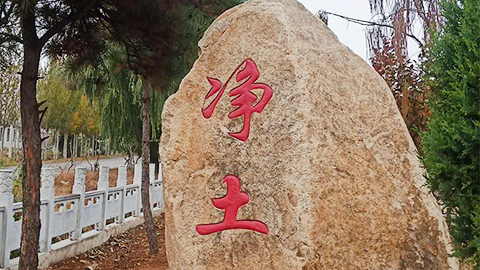 龙华园“净土”