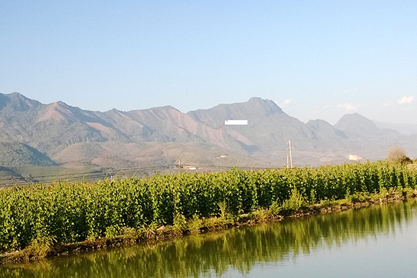 破坏墓地风水的几大因素！