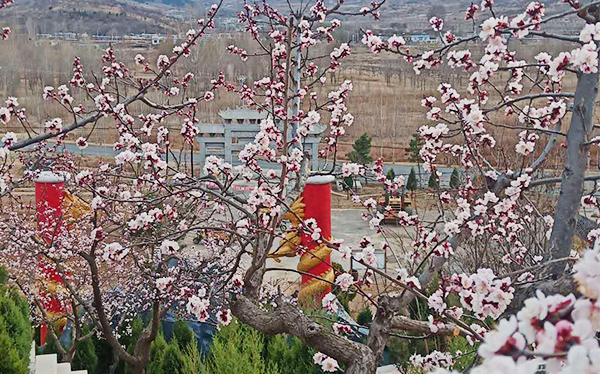护墓管理